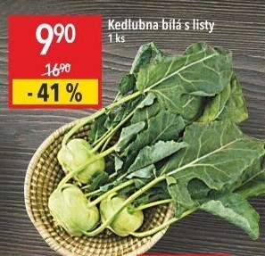Kedlubna bílá