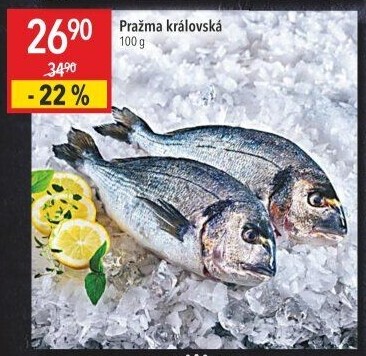 Pražma královská