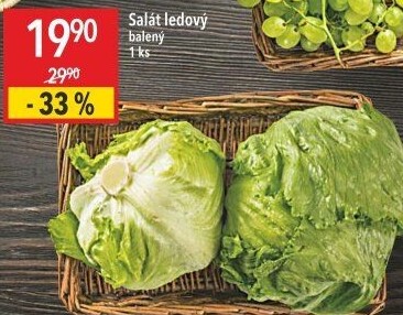 Salát ledový