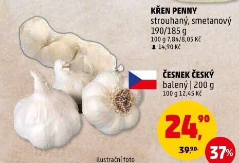 Česnek český