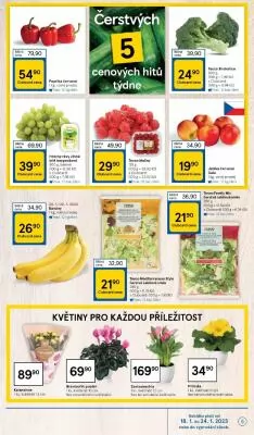 akční leták Tesco 18.1.2023-24.1.2023