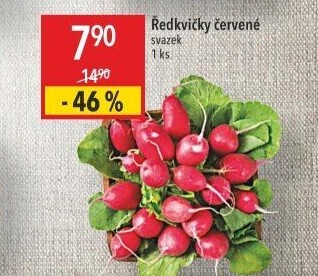 Ředkvičky svazek
