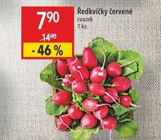 Ředkvičky svazek