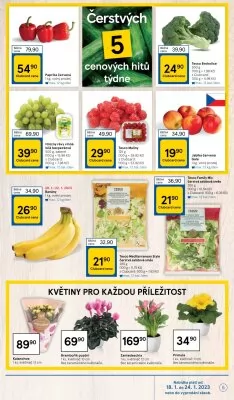 akční leták Tesco 18.1.2023-24.1.2023