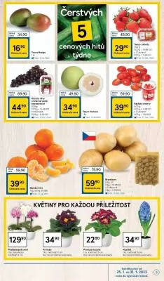 akční leták Tesco 25.1.2023-31.1.2023