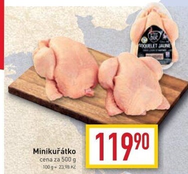 Mini kuřátko P'