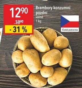 Brambory konzumní pozdní