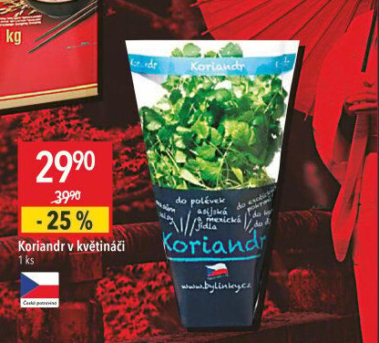 Bylinky v květináči Bylinky s.r.o. - Globus akcniletaky.com
