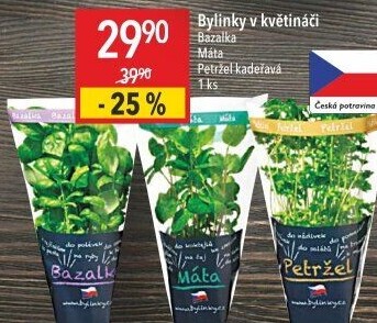 Bylinky v květináči Bylinky s.r.o.