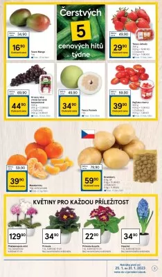 akční leták Tesco 25.1.2023-31.1.2023