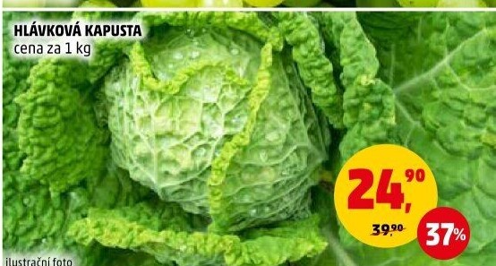 Kapusta hlávková