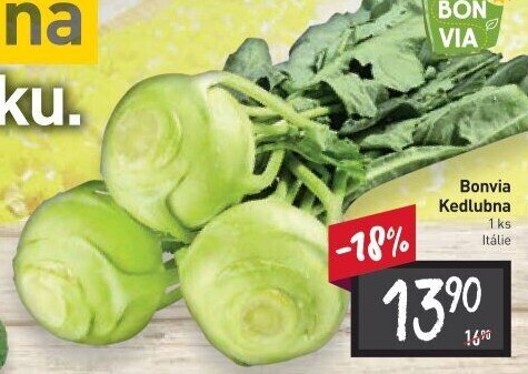 Kedlubna bílá Billa Bonvia