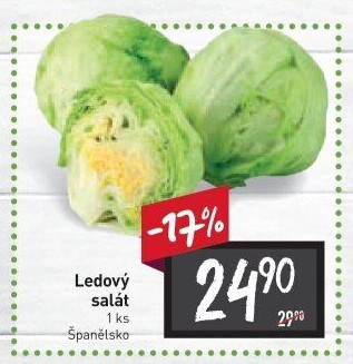 Salát ledový