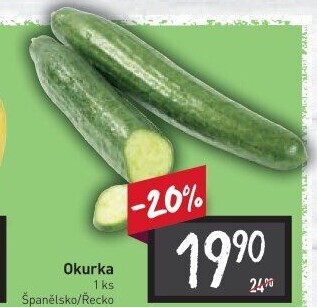 Okurka hadovka