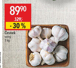 Česnek