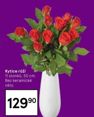 Řezané růže
