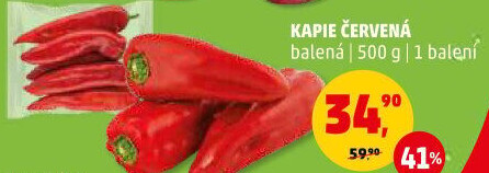 Paprika červená kapie