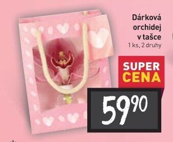 Orchidej