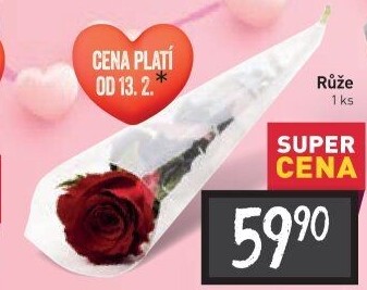 Řezané růže