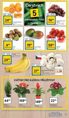 akční leták Tesco 15.2.2023-21.2.2023