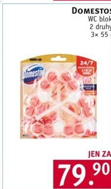 WC bloky Domestos