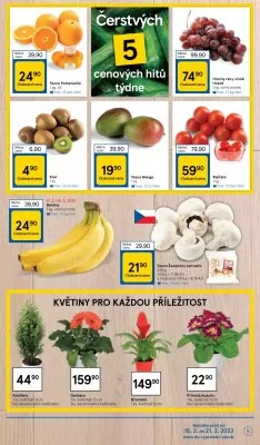 akční leták Tesco 15.2.2023-21.2.2023