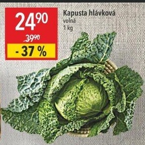 Kapusta hlávková