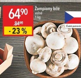 Žampiony bílé