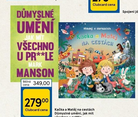 Kniha Kačka a Matěj na cestách Eefje Kuijl