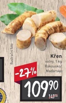 Křen