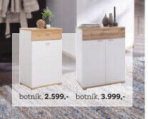 BOTNÍK