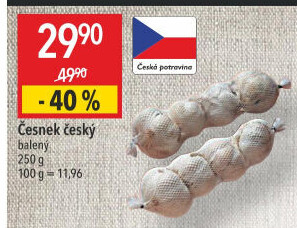 Česnek český