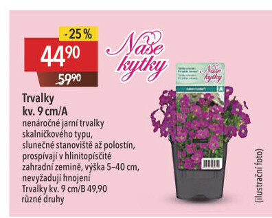 Trvalky