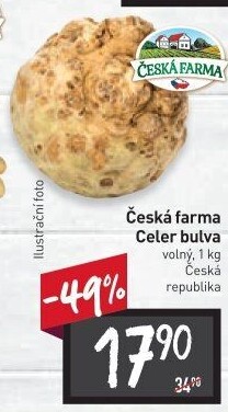 Celer bulva Česká farma