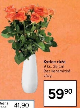 Řezané růže