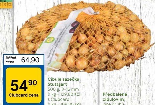 Cibule sazečka