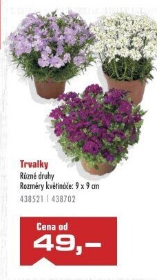 Trvalky