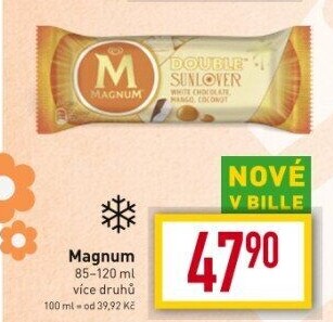Nanuk Magnum Algida