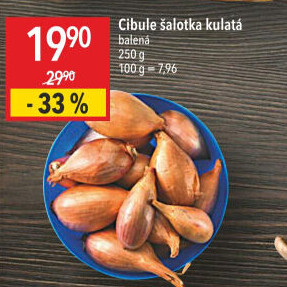 Cibule šalotka