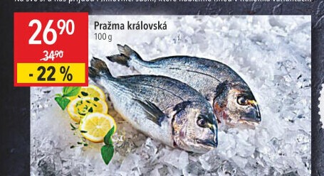 Pražma královská