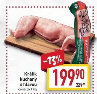 Králík Rabbit