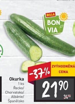 Okurka hadovka Billa Bonvia