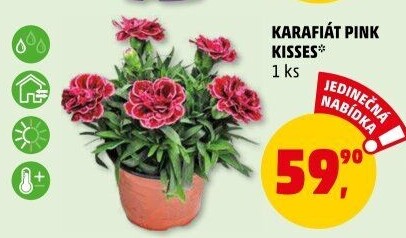 Karafiát
