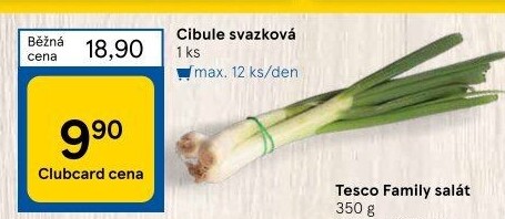 Jarní cibule svazek