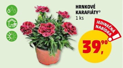 Karafiát