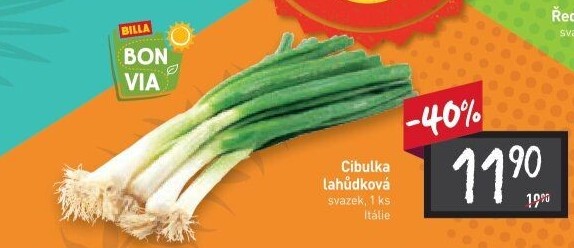 Jarní cibule svazek Billa Bonvia