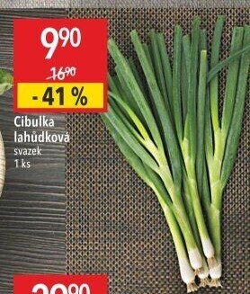 Jarní cibule svazek