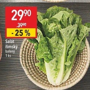 Salát římský