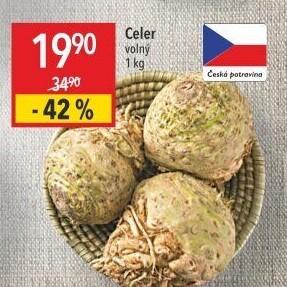 Celer bulva