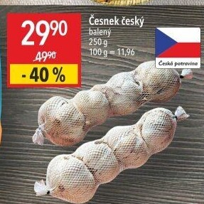 Česnek český